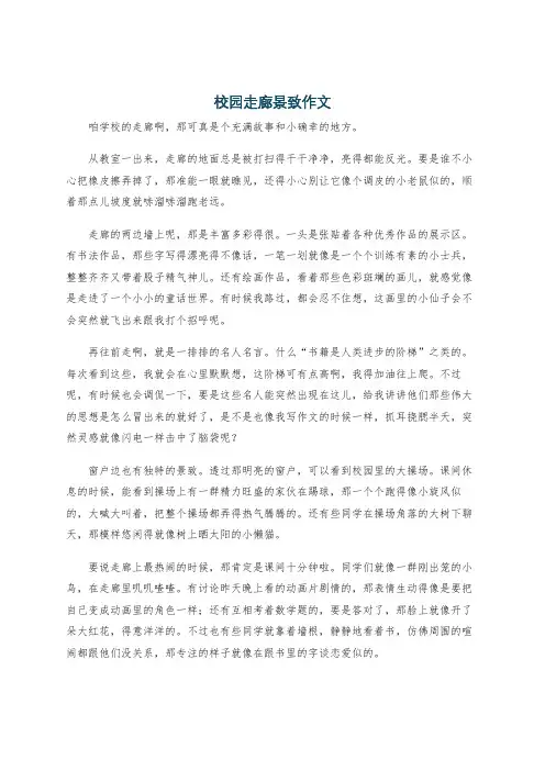 校园走廊景致作文