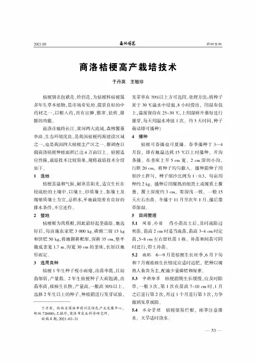 商洛桔梗高产栽培技术
