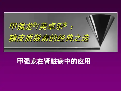 甲强龙、美卓乐推广篇3肾内科培训幻灯