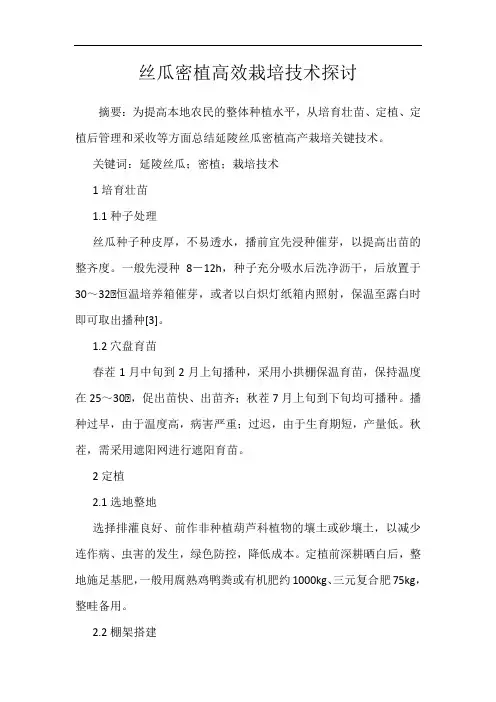 丝瓜密植高效栽培技术探讨