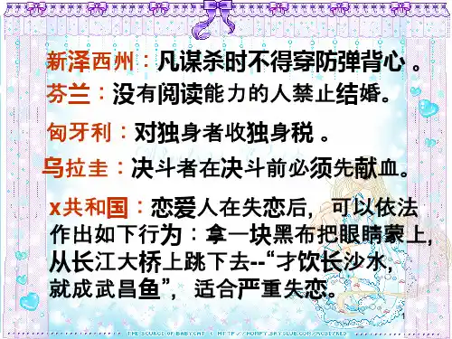 《第二十二条军规》ppt课件