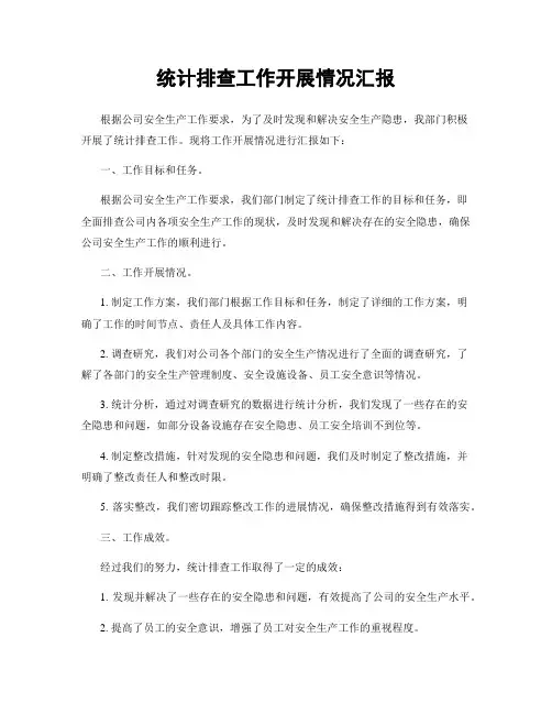 统计排查工作开展情况汇报