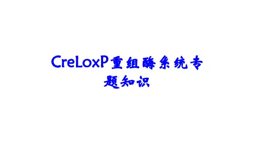 CreLoxP重组酶系统专题知识