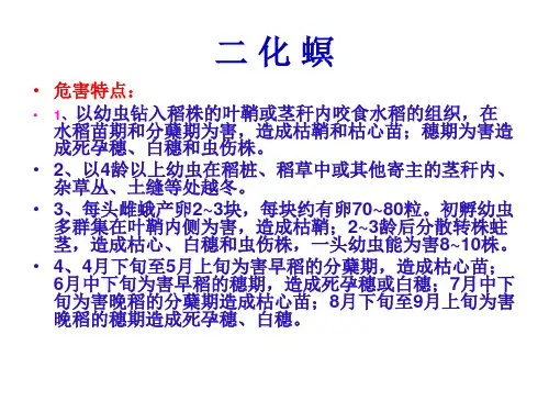 水稻害虫资料