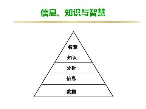 数据信息知识智慧ppt课件