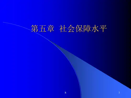 《社会保障水平》PPT课件