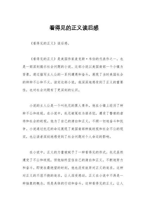 看得见的正义读后感