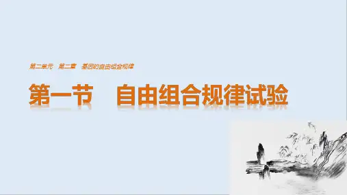 2019-2020版高中生物2.2.1自由组合规律试验课件中图版必修2