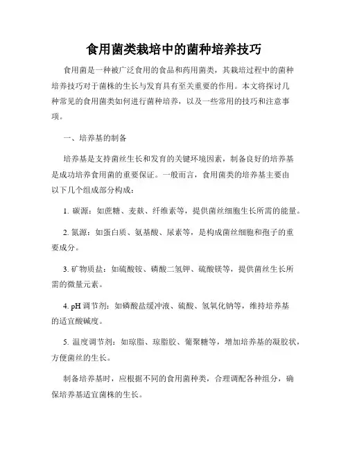 食用菌类栽培中的菌种培养技巧
