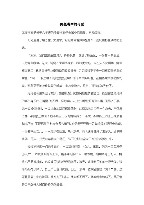 小学六年级漫画作文：鳄鱼嘴中的母爱