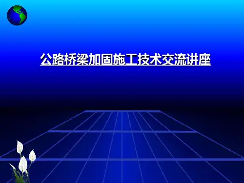 公路桥梁加固施工技术交流讲座PPT培训课件