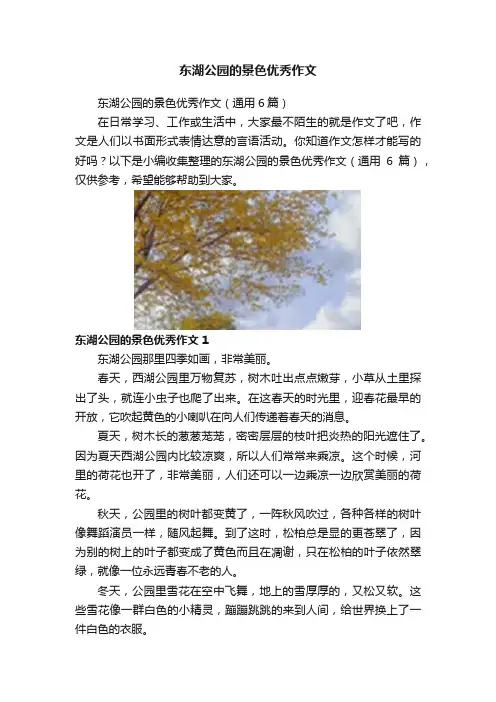 东湖公园的景色优秀作文