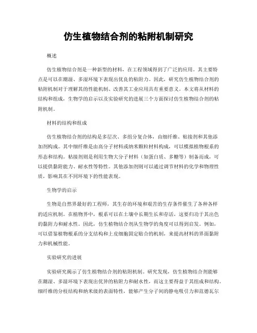 仿生植物结合剂的粘附机制研究