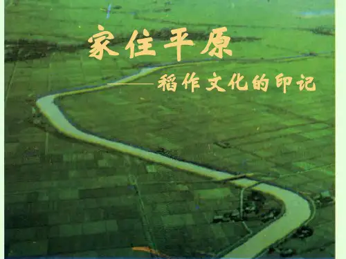 人教版七年级历史与社会上册3.1.1稻作文化的印记(共19张PPT)