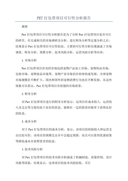 PET打包带项目可行性分析报告