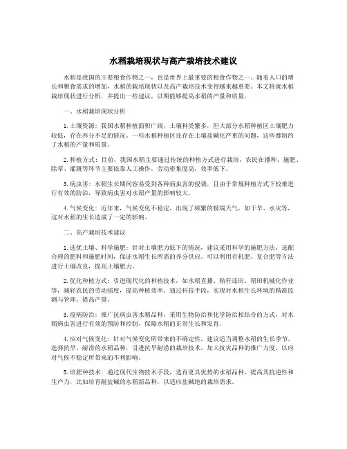 水稻栽培现状与高产栽培技术建议