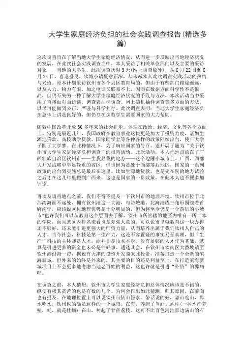大学生家庭经济负担的社会实践调查报告(精选多篇)
