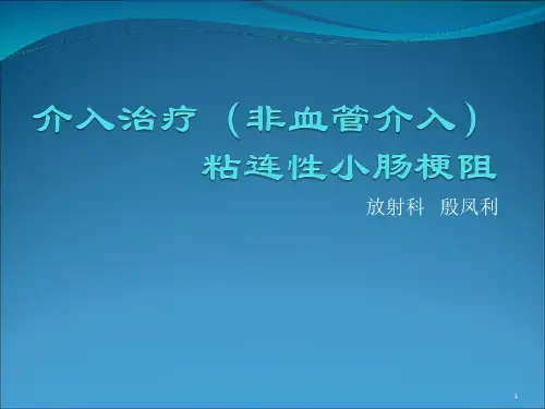 小肠梗阻的介入治疗精品PPT课件