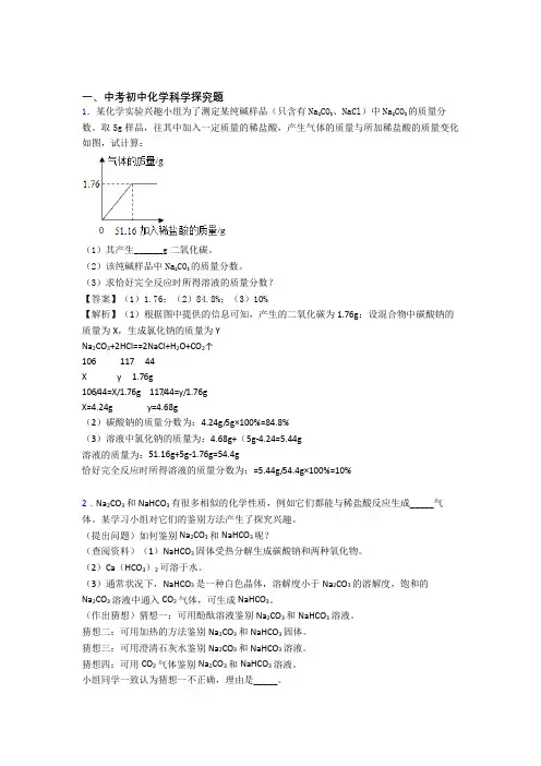 2020-2021中考化学与探究题有关的压轴题及答案