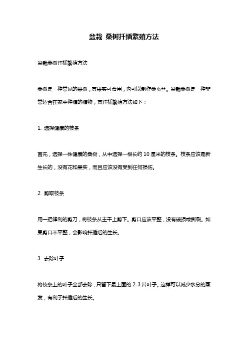 盆栽 桑树扦插繁殖方法