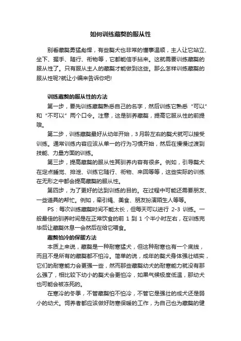 如何训练藏獒的服从性