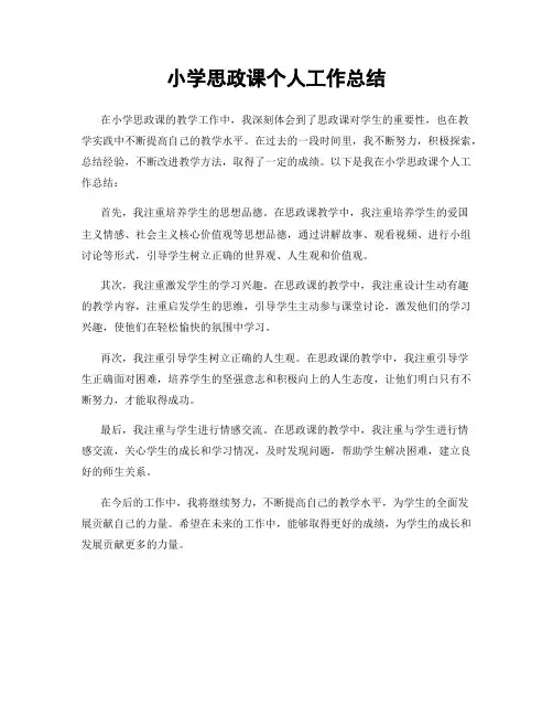 小学思政课个人工作总结
