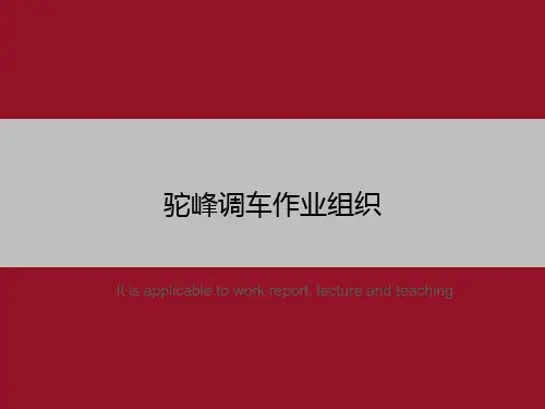 驼峰调车作业组织
