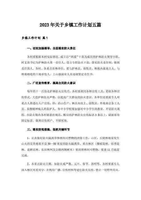 2023年关于乡镇工作计划五篇