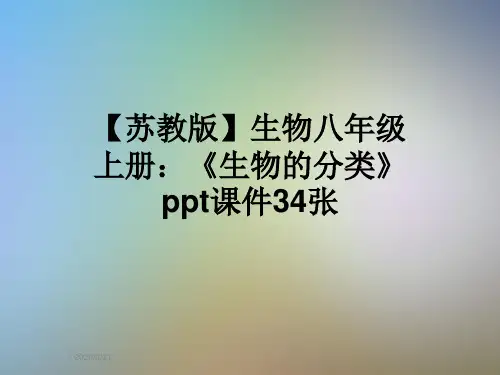 【苏教版】生物八年级上册：《生物的分类》ppt课件34张
