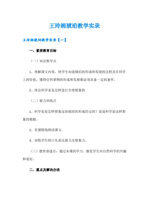 王玲湘琥珀教学实录
