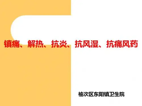 国家基本药物49779 PPT课件