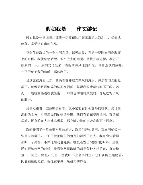 假如我是____作文游记