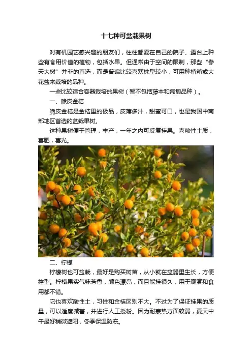 十七种可盆栽果树