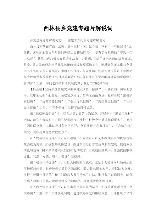 西林县乡党建专题片解说词