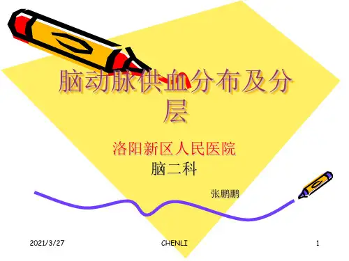 脑血管各支供血区分布