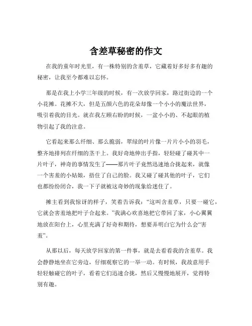 含差草秘密的作文