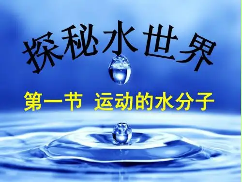 探秘水世界