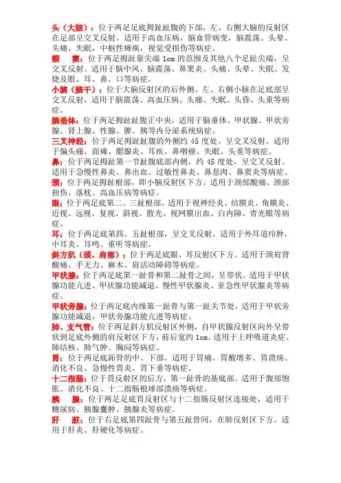 足底反射区