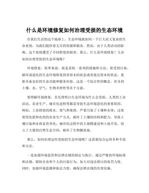 什么是环境修复如何治理受损的生态环境