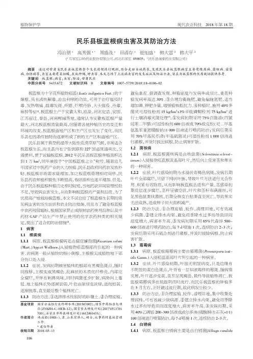民乐县板蓝根病虫害及其防治方法