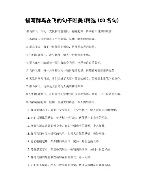 描写群鸟在飞的句子唯美(精选100句)