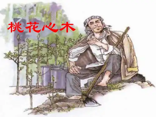 桃花心木课件