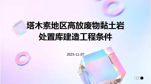 塔木素地区高放废物黏土岩处置库建造工程条件