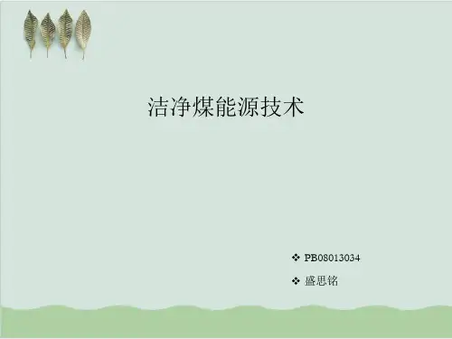 洁净煤能源技术PPT课件(23页)