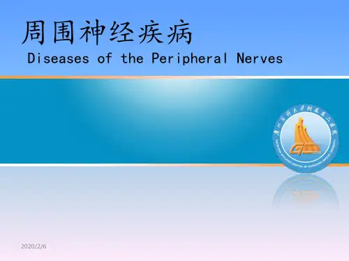 周围神经疾病(PPT)
