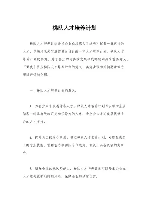 梯队人才培养计划