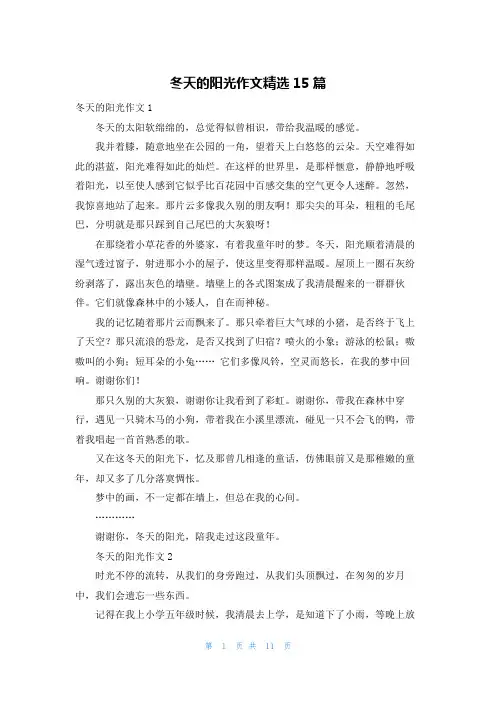 冬天的阳光作文精选15篇