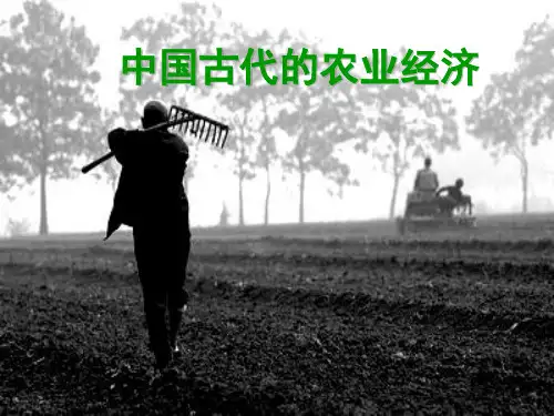 古代中国的农业经济 PPT课件