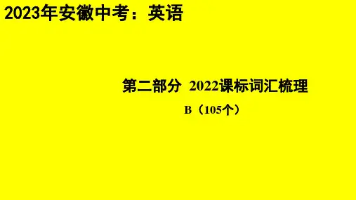 2023年安徽省中考英语专题总复习：词汇梳理B(105个)