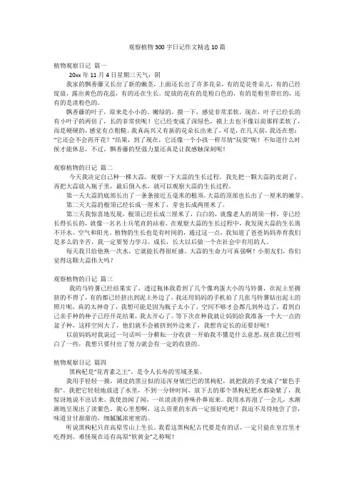 观察植物300字日记作文精选10篇